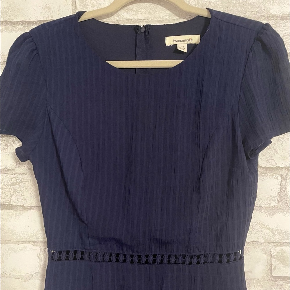 Gorgeous Navy Francescas Dress